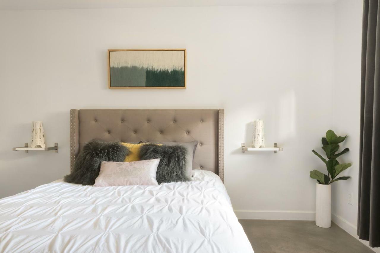 Travis Heights Modern I Villa Austin Dış mekan fotoğraf